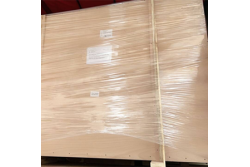 RF Shielded door manual door ready for shipment